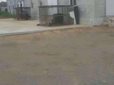 (出租)大连瓦房店元台镇厂房，场地图1