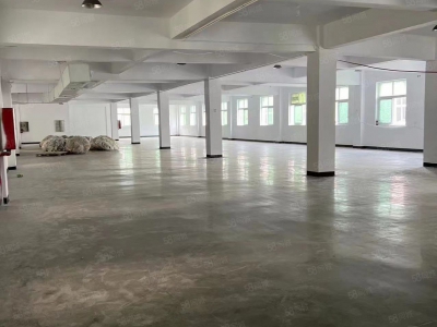 温州苍南县(出租) 房东直租 苍南金乡镇龙金大道二楼1000平标准厂房 交通便利图1
