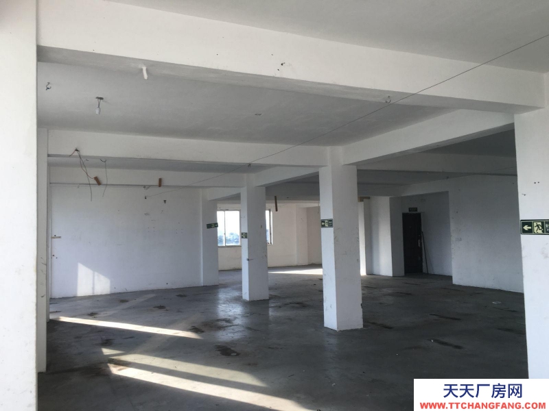 温州苍南县(出租) 出租厂房 地址 龙港士金兜村