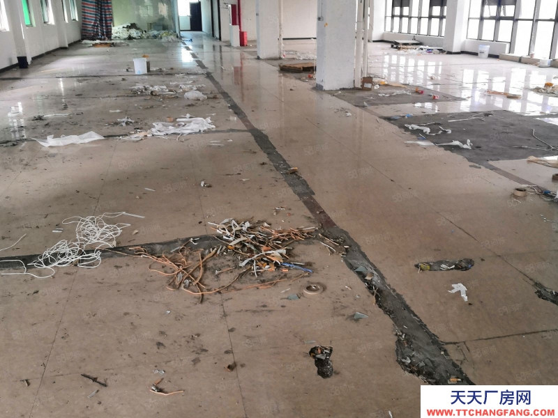 温州苍南县(出租) 龙金大道边厂房出租每层1600平米共4800平可以分租。