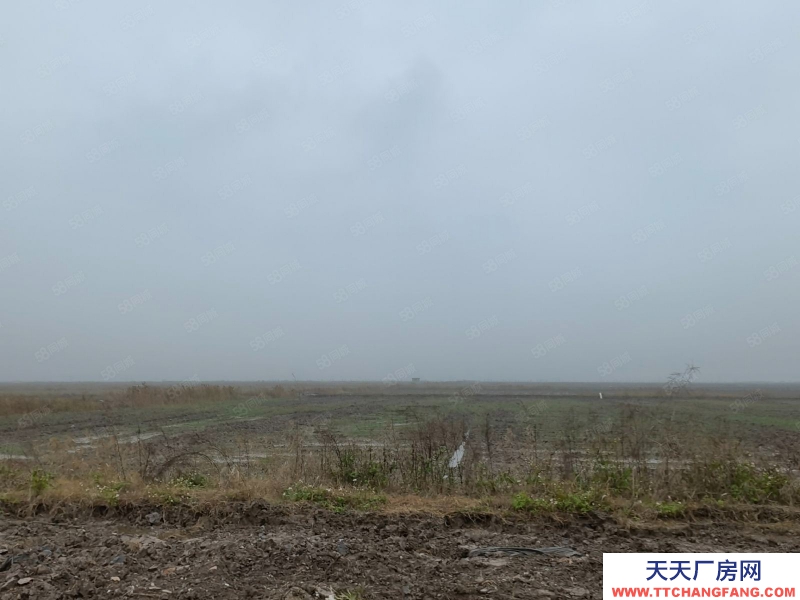温州苍南县(出售) 出售苍南工业区土地20亩，30亩，50亩，80亩详细咨询