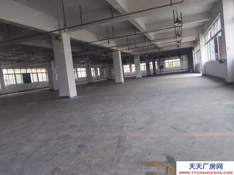 温州苍南县(出售) 苍南工业区大厂房50亩建筑35000平方出售1.2亿.