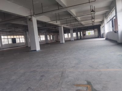 温州苍南县(出售) 苍南工业区大厂房50亩建筑35000平方出售1.2亿.图2