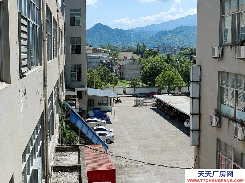 温州苍南县(出售) 泽雅戈恬工业区4亩6500平位置好性价比高行业不限可腾空证齐