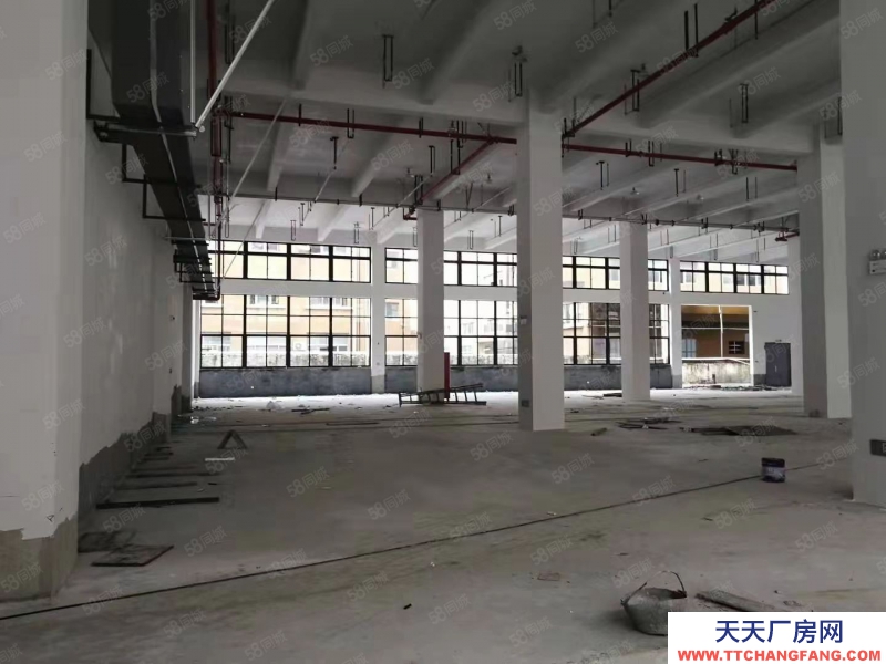 温州苍南县(出售) 苍南大路边好位置51亩出售