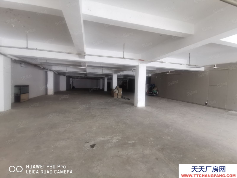 (出租) 大连沙河口熟食品 1000平厂房可分割 好停车 进出货方便
