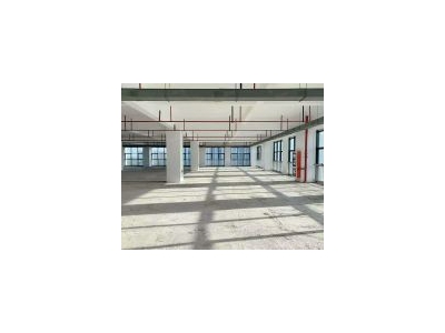 (出租) 杨浦，房东直租，适合直播展厅，研发实验办公，组装测试，形象好图1