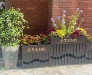 (出租)杨浦 合生茶岸文创园招租，适合摄影，展示，创意，工作室，检测等