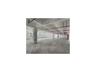 (出租) 杨浦大房东 研发 办公 电商 企业总部 展厅 摄影 食堂宿舍图1