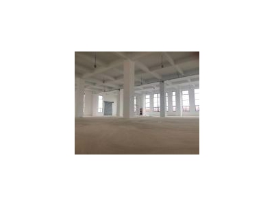 (出售) 出售杨浦一手全新独栋104工业厂房 业态无要求办公生产都行图1