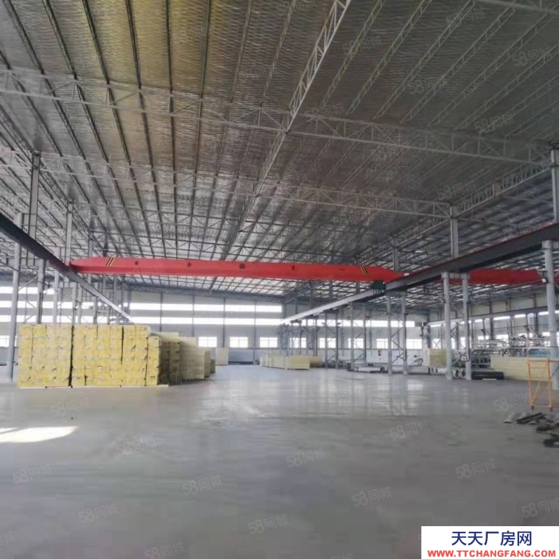 (出租) 大连金州标准厂房出租，格局好，宽敞明亮可做多种经营，可分租