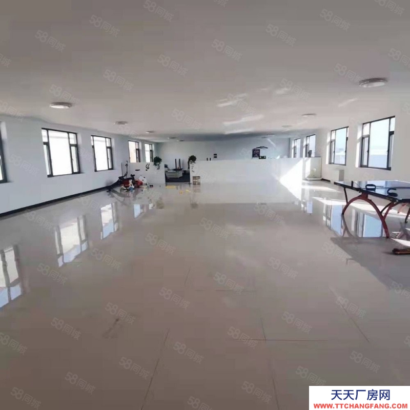 (出租) 大连金州标准厂房出租，格局好，宽敞明亮可做多种经营，可分租
