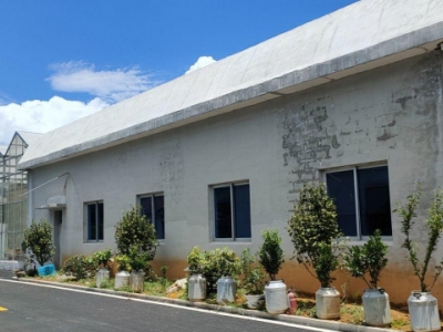 温州文成(出租) 出租文成南田 3000平方 食品加工产 预制菜 净菜图1