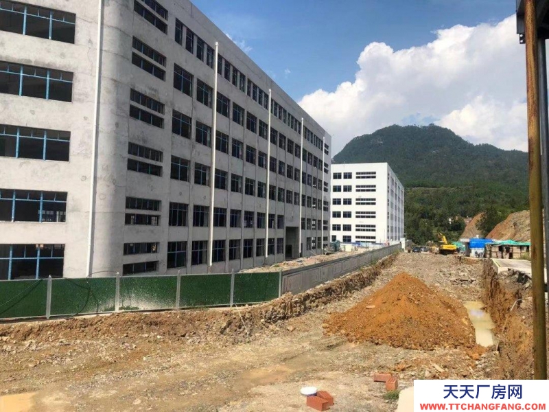 温州文成(出售) 独立产权、独门独院、上亿