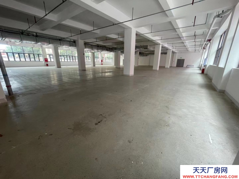 全新，独栋框架 结构厂房，面积选择大，形象展示非常好
