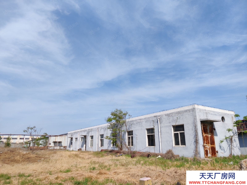 泰安出售 宁阳经济开发区独院厂房 好位置 紧邻104国道京沪高速
