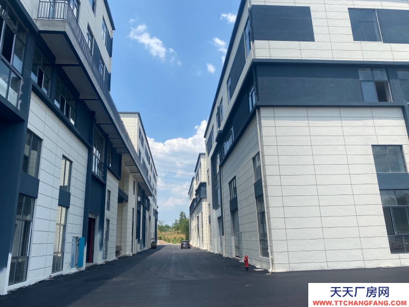 1815m²急售，独栋、双拼或分层高标准工业厂房。低价现房。抢到就是赚到。