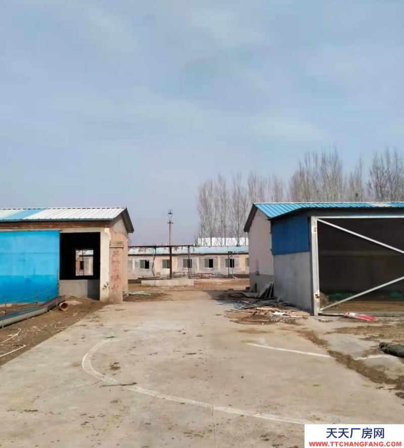 泰安东平厂房出售，出租价格电话联系