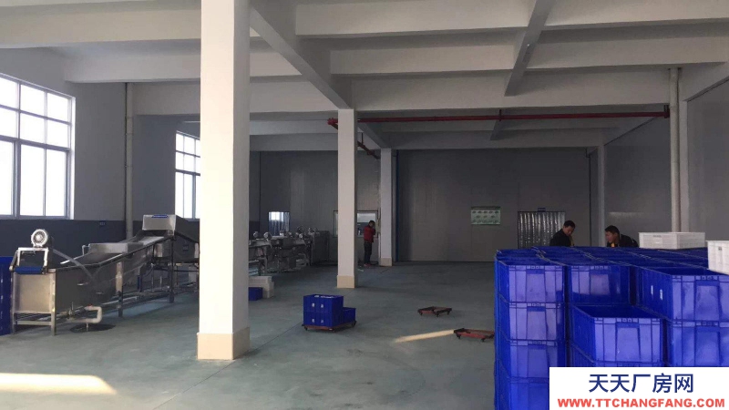 泰安新泰出租城区新汶街道 厂房出租