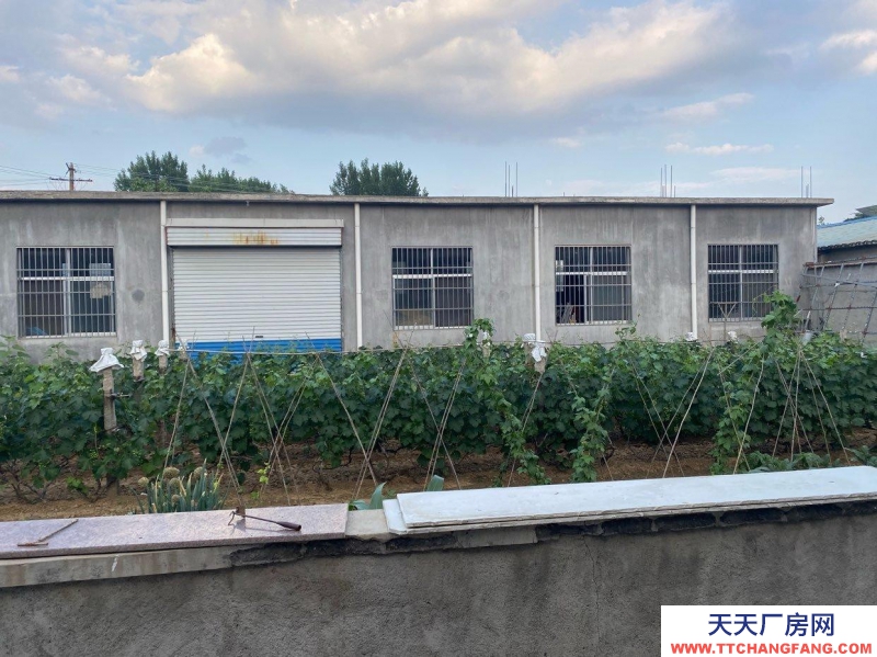 泰安新泰仓库400平，院200平，可以带院租，也可以单独租仓库