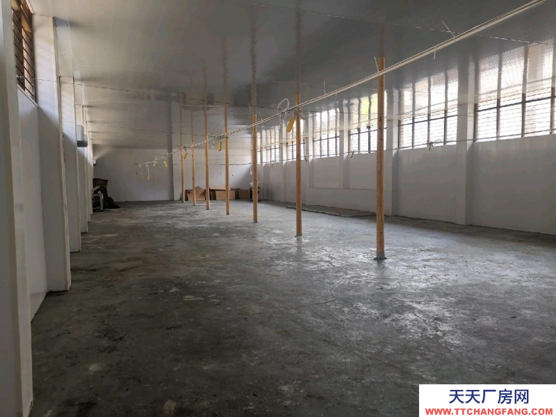 温州泰顺(出租) 新装修1000平独门独户厂房