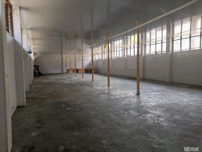 温州泰顺(出租) 新装修1000平独门独户厂房图2