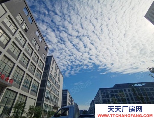 温州泰顺(出售) 丽水14亩。，车间8500平。独门独院