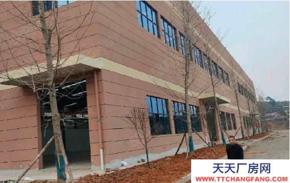 邵阳市双清区 出租 双清全新厂房 交通便利 环境优