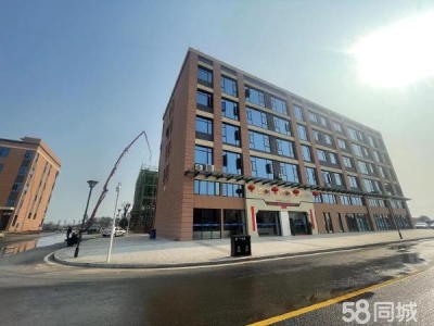 邵阳市双清区 现房单层、多层、总部办公，预留航吊，可定制。图3