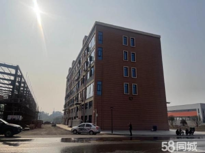 邵阳市双清区 现房单层、多层、总部办公，预留航吊，可定制。图4