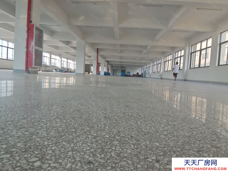 温州瑞安(出租) 罗凤2楼1000平独立一个层面 租金180元层高4米马上可用
