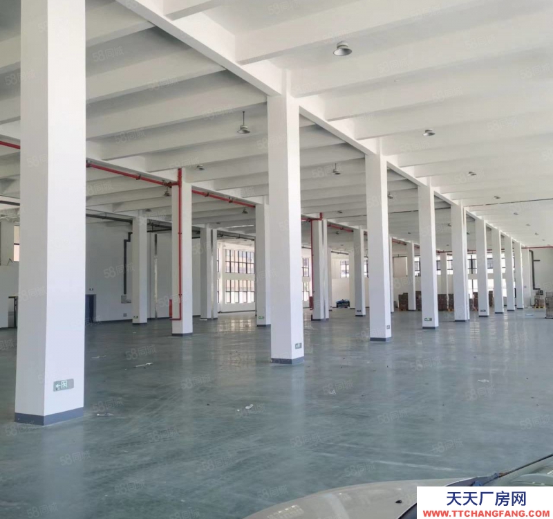 温州瑞安(出租) 东山 12000标准厂房 5吨货梯 带地下室 可分割