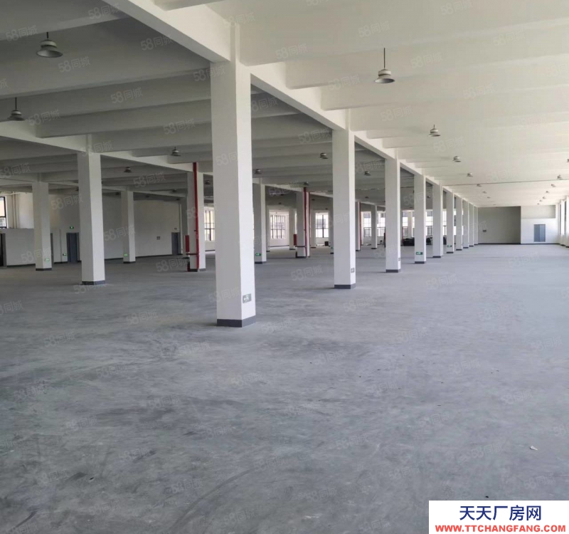 温州瑞安(出租) 东山 12000标准厂房 5吨货梯 带地下室 可分割