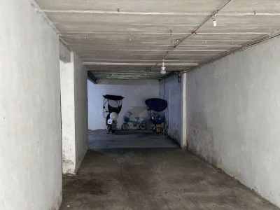 温州瑞安(出租) 瑞安东街新路钢板结构仓库D9图2