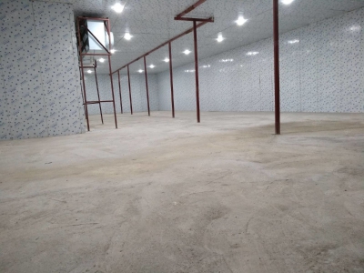 (出租) 桂林秀峰区桃花江路山洞内场地,冷库出租图3