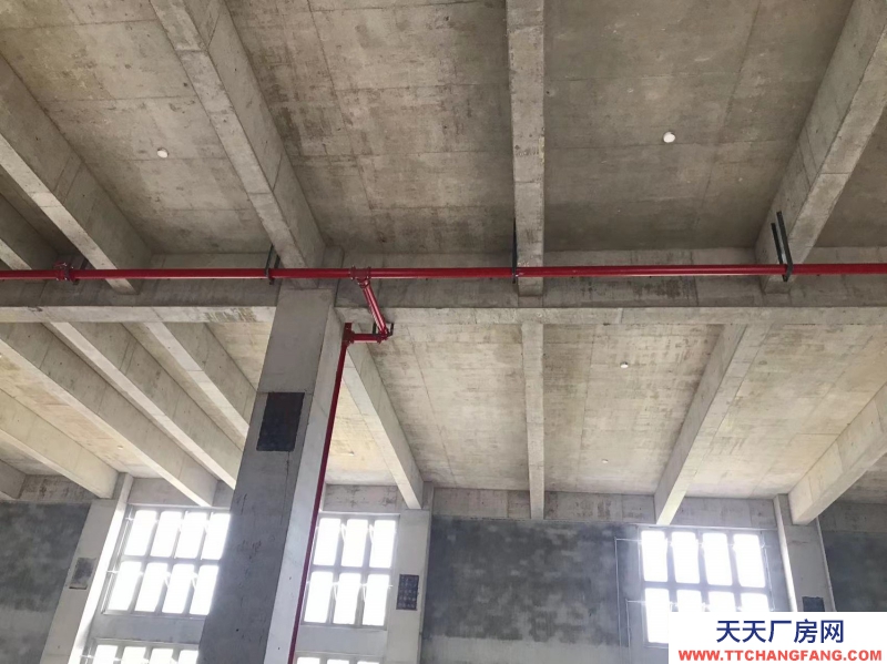 桐庐独栋双拼工业厂房准现房年底交付