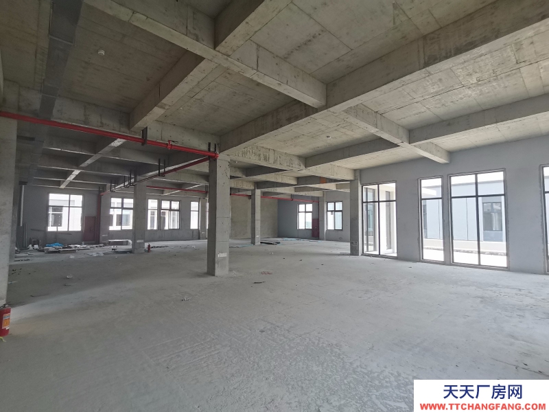 不限电，低容积，四层花园式独栋厂房，非中介