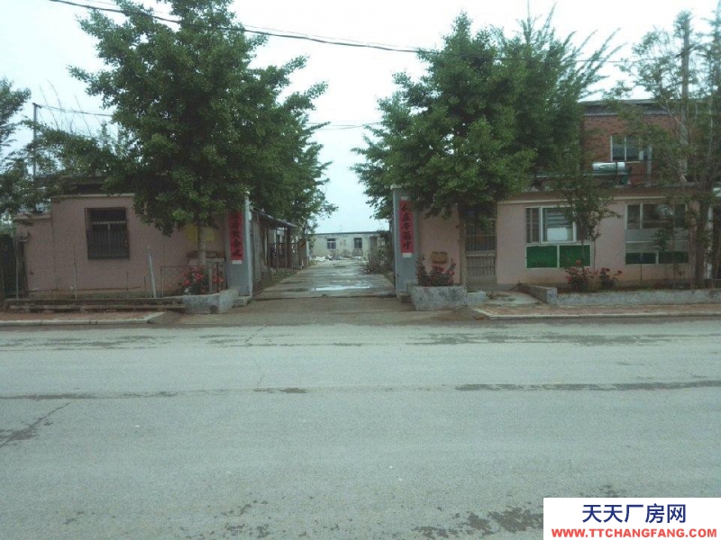 泰安肥城 独院距青兰高速路囗一公里，S104路口约400米