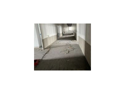 (出租) 宝山富联路友谊西路，10000平可分租图2