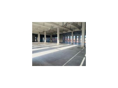 (出租) 宝山工业园区全新104地厂房0.8元起图4