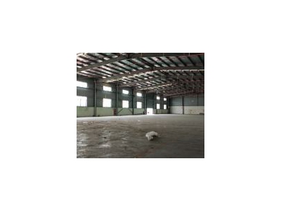 (出租) 宝山独门独院丙二类消防仓库（厂房）办公住宿设施齐全图4