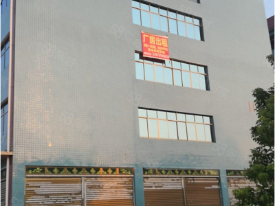 邵阳市邵东县厂房出租 共六层 有电梯和货梯 可分租图1