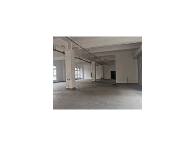 (出租) 嘉定外冈近安亭1楼厂房出租可环评开发商直租无中介转让费图2