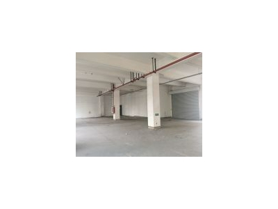 (出租) 嘉定外冈近安亭1楼厂房出租可环评开发商直租无中介转让费图4