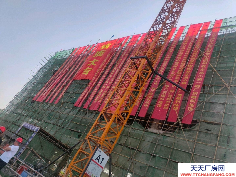 聊城阳谷300-5000平现代化企业厂房仓库冷库出售