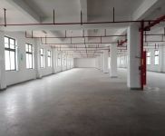 (出租)浦东 南汇104板块 环境好 可环评 适合纸箱包装 集成电路 电商
