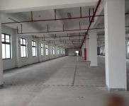 (出租)浦东 南汇104板块 环境好 可环评 适合纸箱包装 集成电路 电商