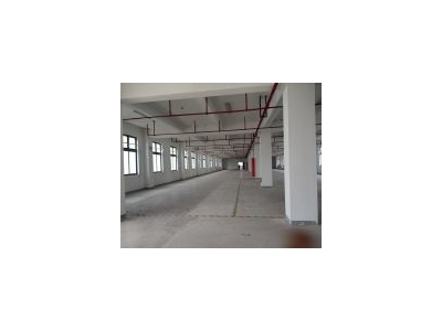 (出租)浦东 南汇104板块 环境好 可环评 适合纸箱包装 集成电路 电商图2