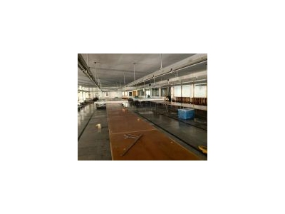 (出租) 浦东新场独门独院4000平标准厂房出租 单层 可做4S店图2