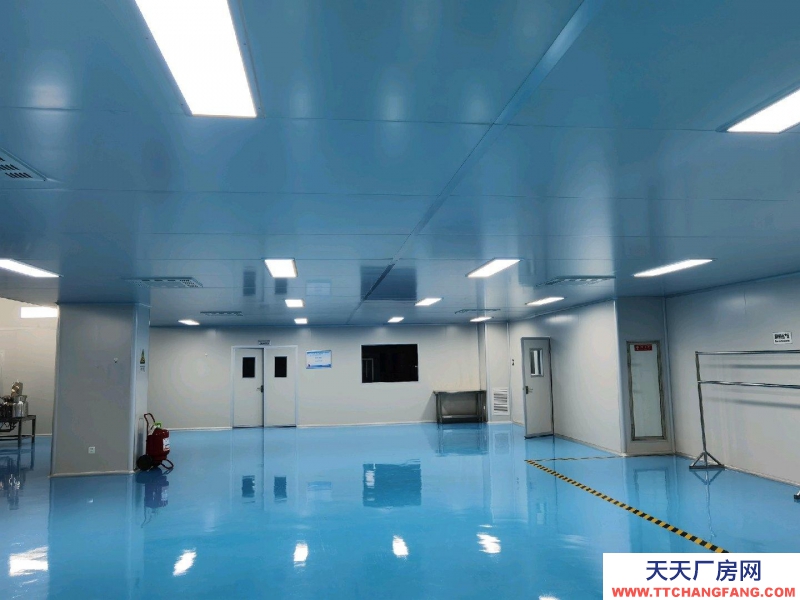 (出租) 银川金凤洁净车间可生产研发检测办公，整租分租都可